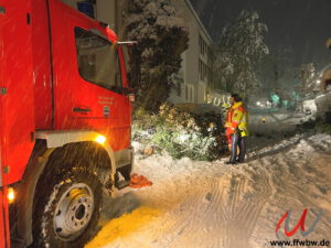 Baum über Fahrbahn