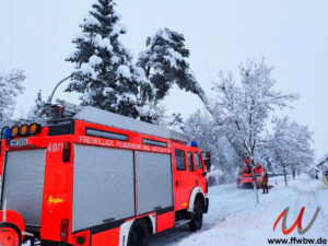 Baum droht zu fallen