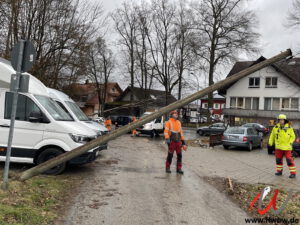 Baum über Fahrbahn