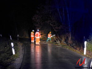 Baum über Fahrbahn