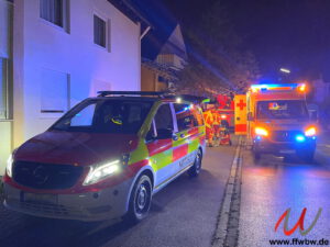 Unterstützung Rettungsdienst