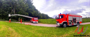 Baum über Fahrbahn