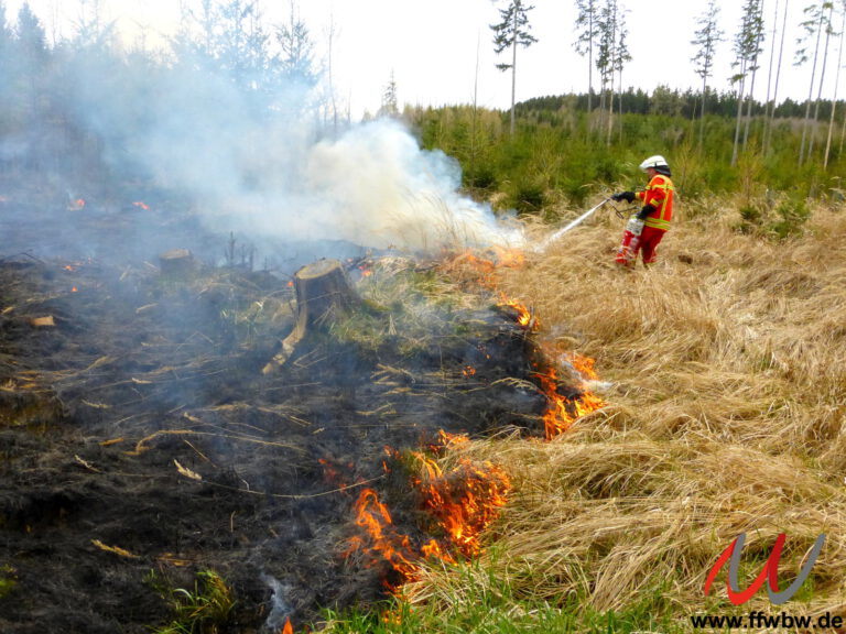 Waldbrandes zwischen Bad Wörishofen und Schlingen aus dem Jahr 2021