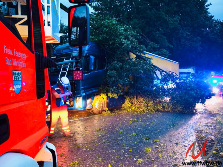 THL Unwetter - Baum auf LKW
