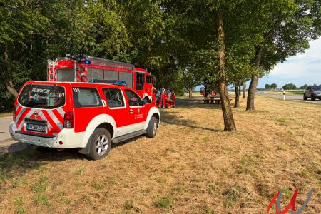 Brand Wald klein