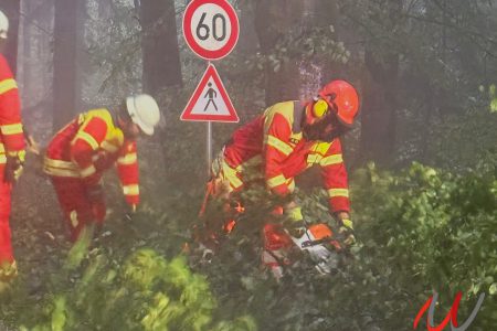THL Unwetter - Baum über Fahrbahn